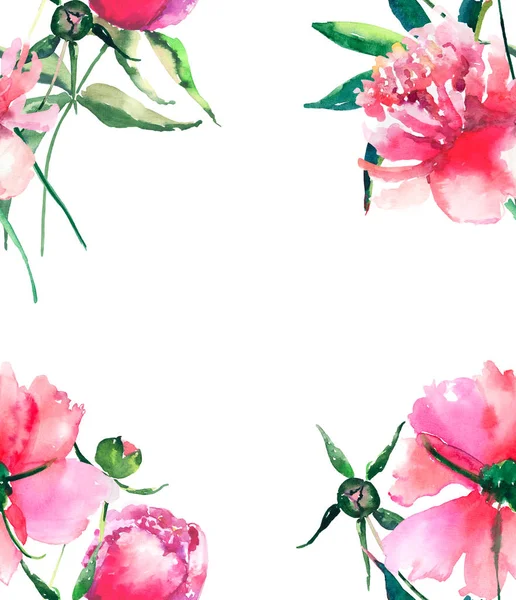 Mooie gevoelige tedere schattig mooie bloemen kleurrijke lente zomer roze, rode, oranje pioenrozen met groene bladeren en knoppen frame aquarel hand schets — Stockfoto
