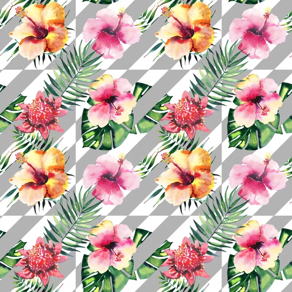 Piękny jasny piękny Abstrakcja kolorowe, tropikalny wzór kwiatowy lato ziołowe Hawaje tropikalne kwiaty storczyki hibiskusa i liści palmy na szkic akwarela ręka tło szare linie skośne — Zdjęcie stockowe