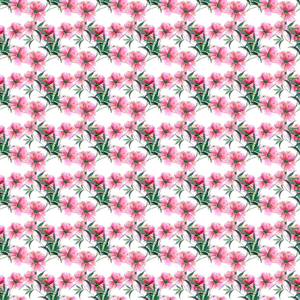 Brilhante bonito concurso linda linda primavera maravilhosa flor de ervas peônia rosa com folhas verdes e botões ilustração mão aquarela. Perfeito para cartão de saudação, design têxtil — Fotografia de Stock