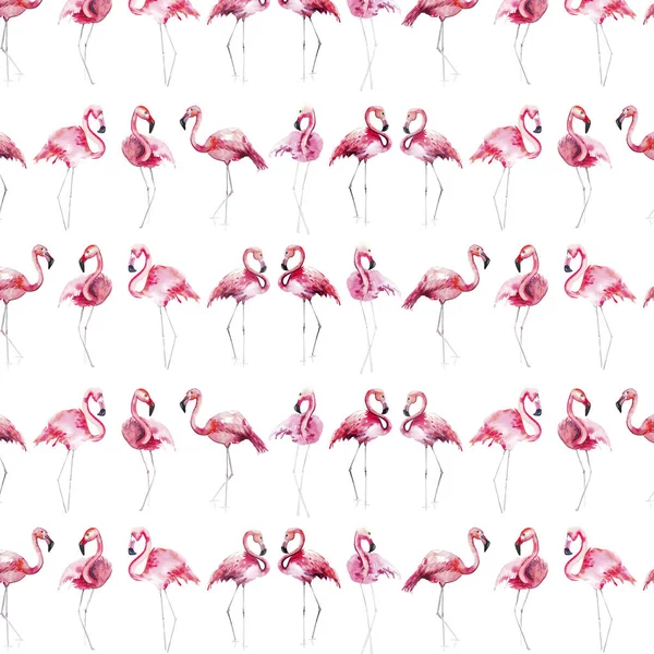 Bright lovely tender gentle sophisticated wonderful tropical hawaii animal wild summer beach pink flamingos pattern watercolor hand sketch. Perfect for greetings card, textile, wallpapers — Stock Photo, Image