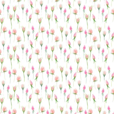 Güzel hassas ihale şirin zarif güzel çiçek renkli bahar yaz pembe ve kırmızı gül tomurcukları ve yaprakları buket suluboya el çizim ile