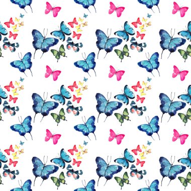 Güzel şirin sofistike muhteşem harika ihale nazik bahar renkli desen suluboya el illüstrasyon kelebek