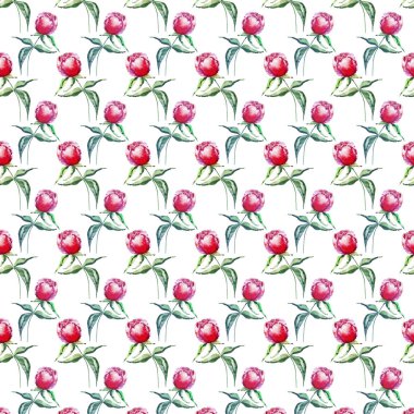 Güzel ihale sofistike nazik güzel bahar çiçek bitkisel peonies yeşil yaprakları desen suluboya el kroki ile. Tebrik ve doğum günü kartı, düğün, davet, tekstil tasarımı için mükemmel