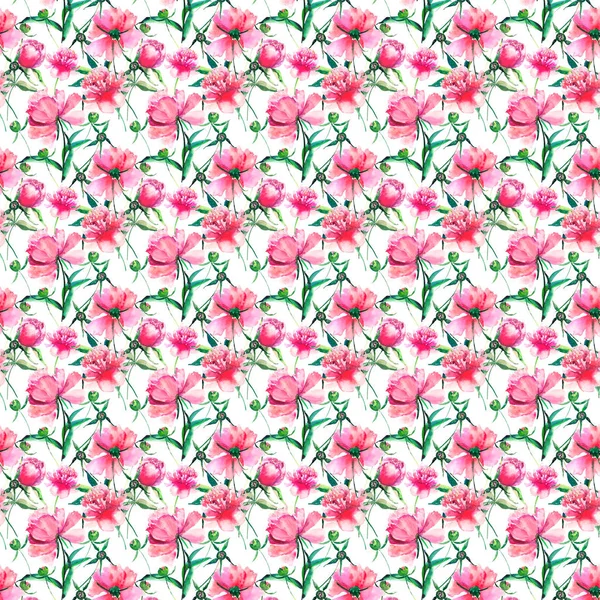 Brilhante bonito concurso linda linda primavera maravilhosa flor de ervas peônia rosa com folhas verdes e botões ilustração mão aquarela. Perfeito para cartão de saudação, design têxtil — Fotografia de Stock
