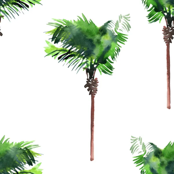 Belle lumineux mignon vert tropical belle magnifique hawaii motif floral d'été à base de plantes d'un croquis à la main aquarelle de palmiers. Parfait pour carte de vœux, textile, papiers peints, papier d'emballage — Photo