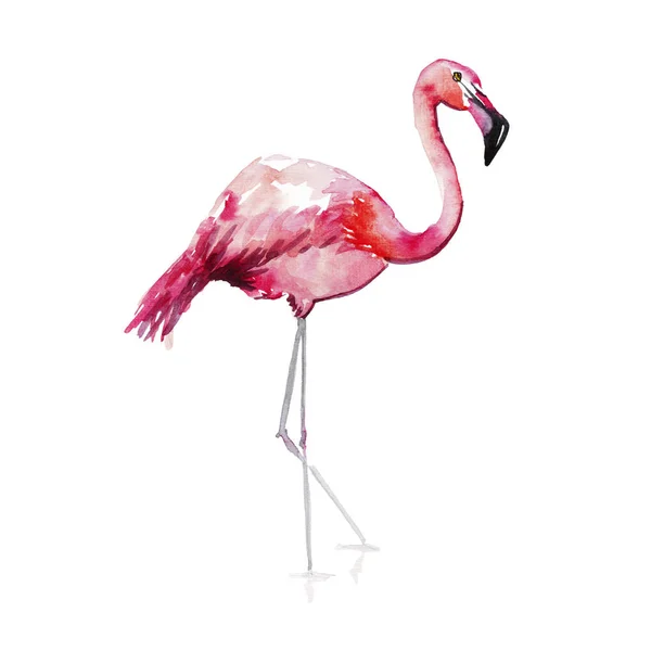 Ljusa härliga anbud skonsam sofistikerade underbara tropiska hawaii djurens vilda sommaren beach rosa flamingos mönster akvarell hand skiss. Perfekt för gratulationskort, textil, tapeter — Stockfoto