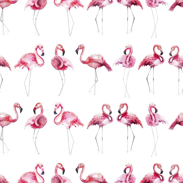 Bright lovely tender gentle sophisticated wonderful tropical hawaii animal wild summer beach pink flamingos pattern watercolor hand sketch. Perfect for greetings card, textile, wallpapers — Stock Photo, Image