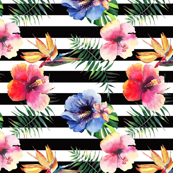 Güzel şirin güzel harika grafik parlak tropikal hawaii çiçek bitkisel yaz tropik çiçekler hibiscus orkide ve avuç içi yaprakları desenine koyu çizgiler arka plan suluboya el çizimi