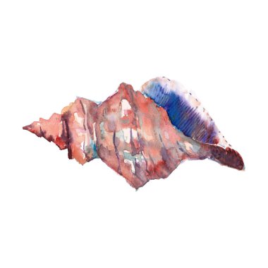 Parlak sevimli grafik güzel güzel harika yaz taze deniz plaj renkli deniz kabuklarını ve starfishes suluboya el illüstrasyon model. Tebrik kartı, tekstil tasarımı için mükemmel