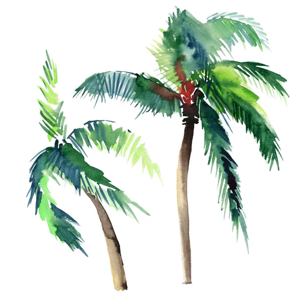 Beautiful bright cute green tropical lovely wonderful hawaii floral herbal summer pattern of a palm trees watercolor hand sketch. Perfect for greetings card, textile, wallpapers, wrapping paper — Stock Photo, Image