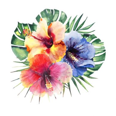 Güzel parlak güzel harika tropik hawaii çiçek bitkisel yaz renkli kompozisyon üç tropik çiçekler kırmızı, mavi, sarı, pembe ve yeşil avuç içi yaprak suluboya el kroki
