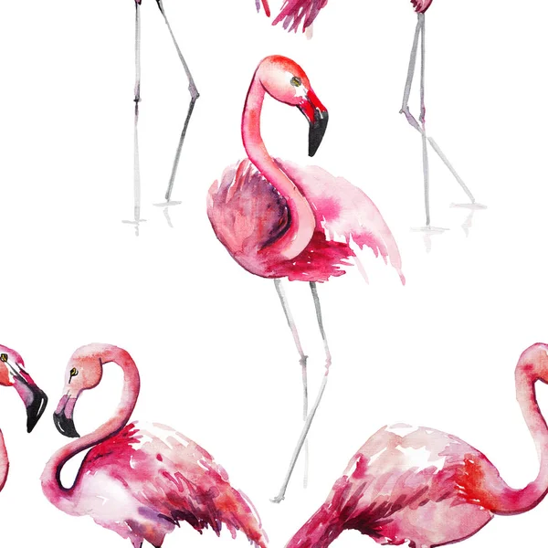 Brilhante adorável concurso suave sofisticado maravilhoso tropical hawaii animal selvagem verão praia rosa flamingos padrão aquarela mão esboço. Perfeito para cartões de felicitações, têxteis, papéis de parede — Fotografia de Stock