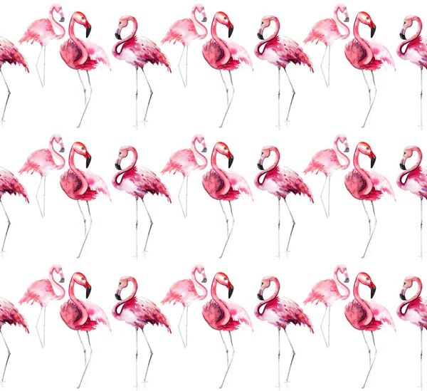 Fényes szép pályázati szelíd kifinomult csodálatos trópusi hawaii állat vad nyári strand rózsaszín flamingók minta akvarell kézzel vázlatot. Tökéletes üdvözlőlap, textil-, tapéta — Stock Fotó