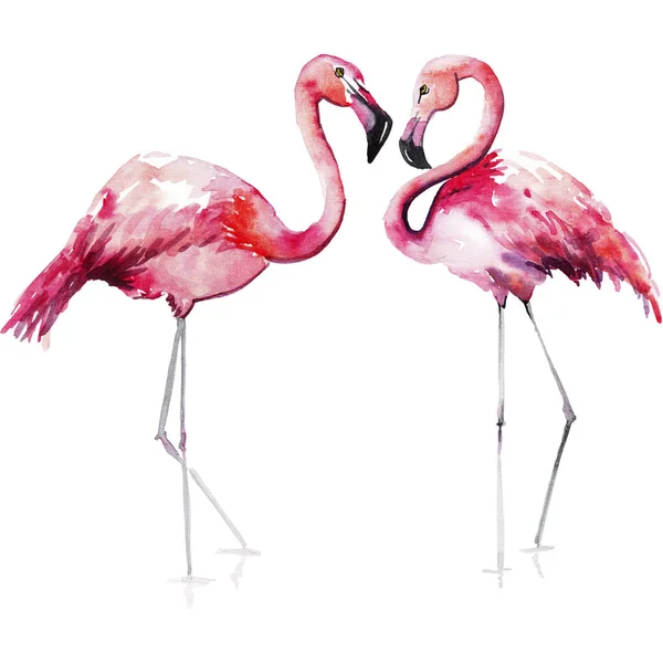Ljusa härliga anbud skonsam sofistikerade underbara tropiska hawaii djurens vilda sommaren beach rosa flamingos mönster akvarell hand skiss. Perfekt för gratulationskort, textil, tapeter — Stockfoto