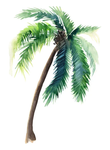 Beautiful bright cute green tropical lovely hawaii floral herbal summer pattern of a palm trees watercolor hand sketch. Идеально подходит для поздравительных открыток, текстиля, обоев, оберточной бумаги — стоковое фото