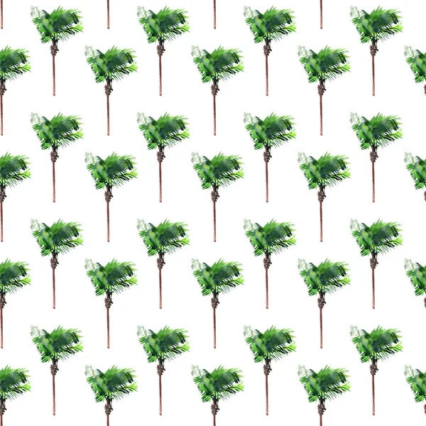美丽明亮可爱绿色热带可爱奇妙夏威夷花卉草药夏天的图案的棕榈树水彩手素描。完美的问候卡，纺织，壁纸，包装纸 — 图库照片