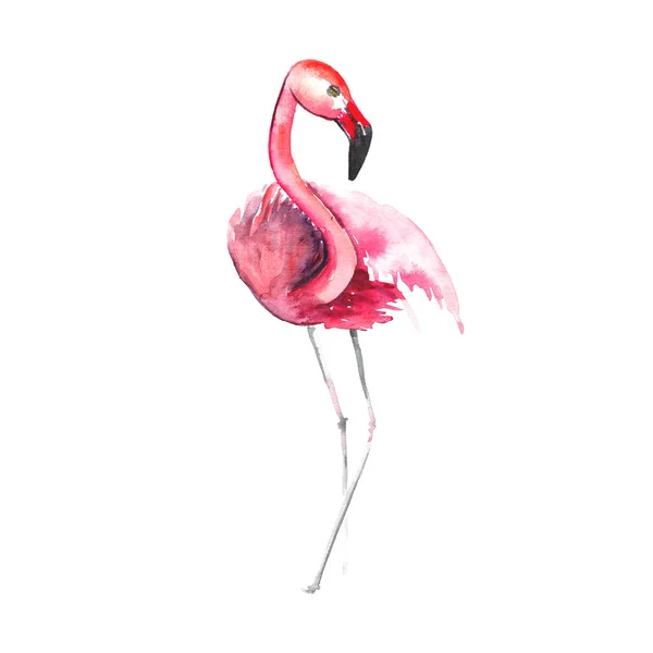 Vackra härliga anbud varsam sofistikerade underbara tropiska hawaii djurens vilda sommaren beach rosa flamingo akvarell hand skiss. Perfekt för gratulationskort, textil, tapeter — Stockfoto