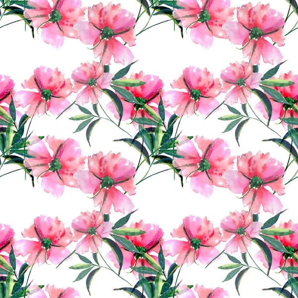 Luminoso carino tenera bella meravigliosa primavera floreale a base di erbe peonia rosa con foglie verdi e boccioli acquerello mano illustrazione. Perfetto per biglietto di auguri, design tessile — Foto Stock