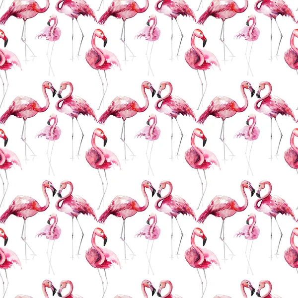 Bright lovely tender gentle sophisticated wonderful tropical hawaii animal wild summer beach pink flamingo pattern watercolor hand sketch. Perfect for greetings card, textile, wallpapers — Stock Photo, Image