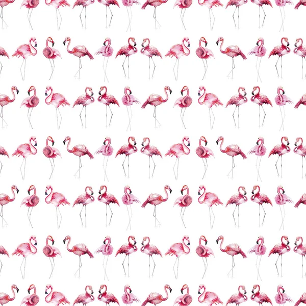 밝은 사랑 스러운 부드러운 부드러운 정교한 멋진 열 대 하와이 동물 야생 여름 비치 핑크 플라밍고 패턴 수채화 손 스케치. 인사말 카드에 대 한 완벽 한 섬유, 배경 화면 — 스톡 사진