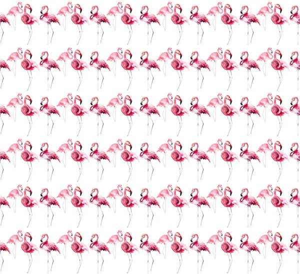 밝은 사랑 스러운 부드러운 부드러운 정교한 멋진 열 대 하와이 동물 야생 여름 비치 핑크 플라밍고 수채화 손 스케치 패턴. 인사말 카드에 대 한 완벽 한 섬유, 배경 화면 — 스톡 사진