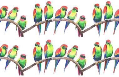 Parlak renkli sevimli güzel orman tropik sarı ve yeşil papağan bir şube desen suluboya üzerinde şekil ver. Mükemmel tebrik kartı, tekstil, duvar kağıtları için