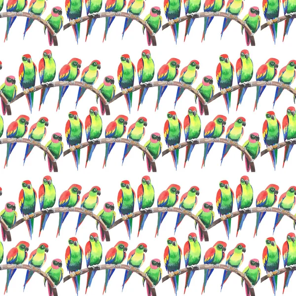 Parlak renkli sevimli güzel orman tropik sarı ve yeşil papağan bir şube desen suluboya üzerinde şekil ver. Mükemmel tebrik kartı, tekstil, duvar kağıtları için