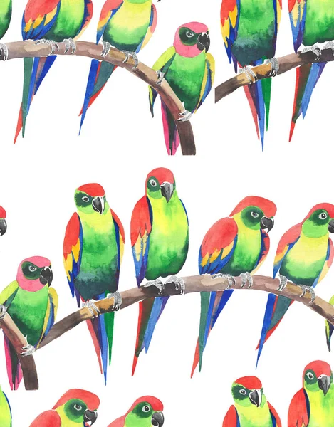 Яскраво-кольорові красиві джунглі тропічні жовті і зелені папуги на гілковому візерунку акварельної ручної ілюстрації. Ідеально підходить для вітальних листівок, текстилю, шпалер — стокове фото