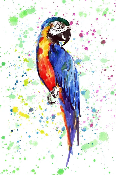 Parlak renkli sevimli güzel orman tropik sarı ve mavi büyük papağan üzerinde renkli sprey arka plan suluboya el çizimi. Mükemmel tebrik kartı, tekstil, duvar kağıtları için