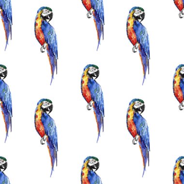 Köşegen desen suluboya el illüstrasyon parlak renkli sevimli güzel orman tropik sarı ve mavi büyük tropik papağan. Mükemmel tebrik kartı, tekstil, duvar kağıtları için