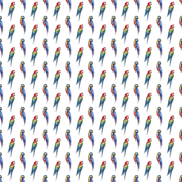 Bright colorful beautiful lovely sophisticated jungle tropical yellow, green, red and blue big tropical parrots diagonal pattern watercolor hand illustration — Stock Photo, Image