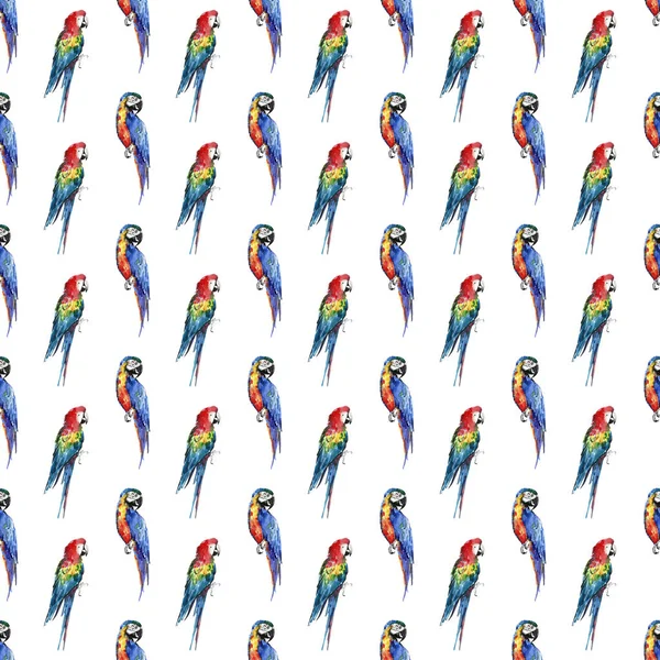 Parlak renkli güzel güzel gelişmiş orman tropik sarı, yeşil, kırmızı ve mavi büyük tropikal köşegen desen suluboya el illüstrasyon papağan.