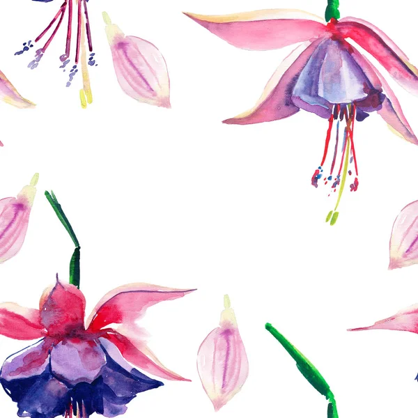 Güzel parlak güzel harika yeşil tropikal hawaii çiçek bitkisel yaz renkli desen tropikal Menekşe çiçek orkide suluboya el çizimi. Tebrik kartı, tekstil tasarımı için mükemmel