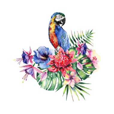 Güzel parlak güzel renkli tropikal hawaii çiçek bitkisel yaz tropik çiçekler ebegümeci ve desen orkide, palms yaprakları ve renkli tropikal sarı mavi papağan suluboya el kroki