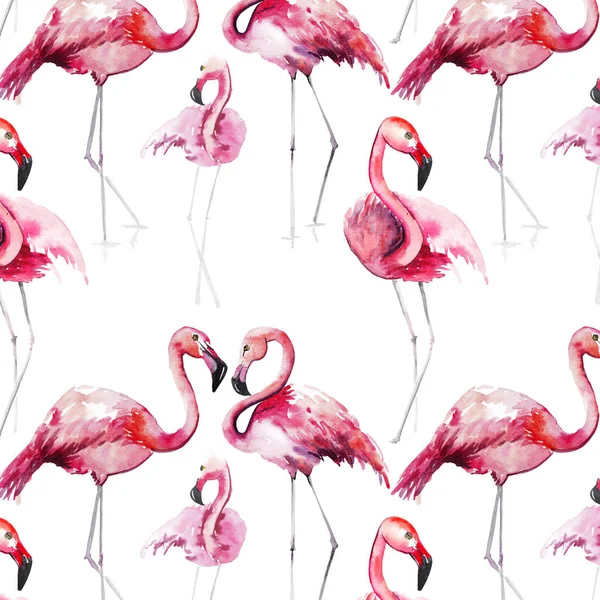 Bright lovely tender gentle sophisticated wonderful tropical hawaii animal wild summer beach pink flamingos pattern watercolor hand sketch. Perfect for greetings card, textile, wallpapers — Stock Photo, Image