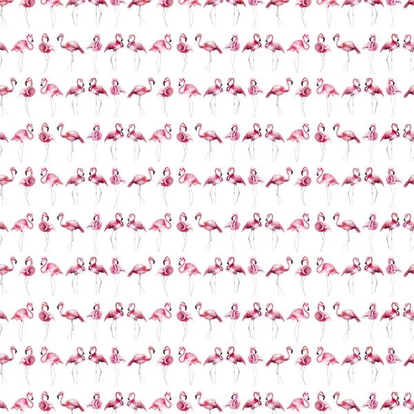 Hell schön zart sanft anspruchsvolle wunderbare tropische hawaii Tier wilden Sommer Strand rosa Flamingos Muster Aquarell Handskizze. perfekt für Grußkarten, Textilien, Tapeten — Stockfoto