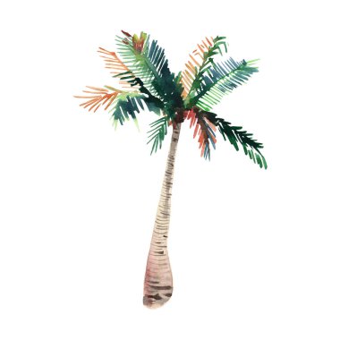 Güzel parlak şirin harika güzel yeşil tropikal güzel harika hawaii çiçek bitkisel yaz palmiye ağacı suluboya el kroki. Tebrik kartı için mükemmel, tekstil, duvar kağıtları, kağıt ambalaj
