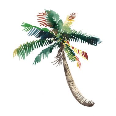 Güzel parlak şirin harika güzel yeşil tropikal güzel harika hawaii çiçek bitkisel yaz palmiye ağacı suluboya el kroki. Tebrik kartı için mükemmel, tekstil, duvar kağıtları, kağıt ambalaj