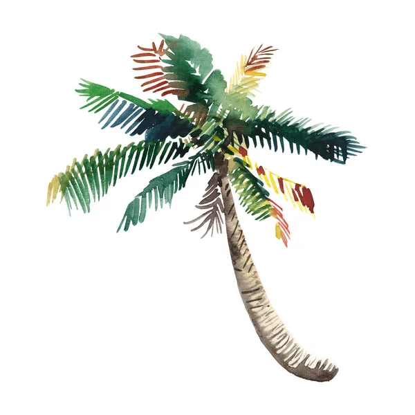 Güzel parlak şirin harika güzel yeşil tropikal güzel harika hawaii çiçek bitkisel yaz palmiye ağacı suluboya el kroki. Tebrik kartı için mükemmel, tekstil, duvar kağıtları, kağıt ambalaj