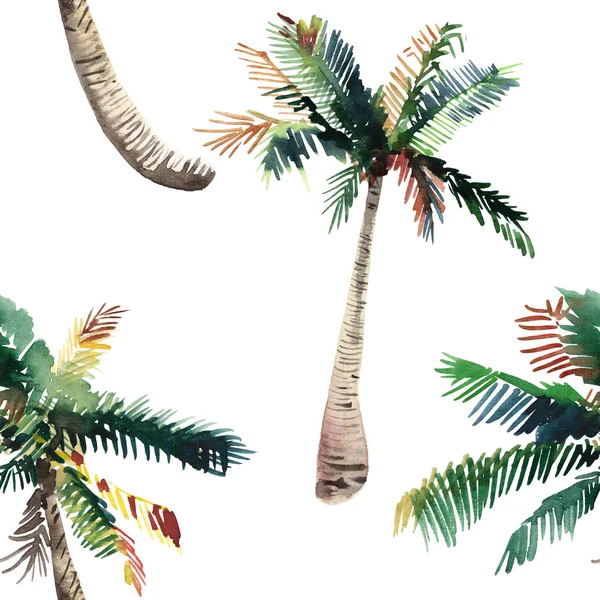 Bonito brilhante bonito verde tropical lindo maravilhoso hawaii floral padrão de verão de ervas de um esboço de mão aquarela palmeiras. Perfeito para cartões de felicitações, têxteis, papéis de parede, papel de embrulho — Fotografia de Stock