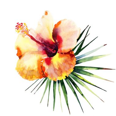 Parlak güzel ihale sofistike güzel tropikal hawaii çiçek yaz sarı ebegümeci ve yeşil palmiye yaprakları suluboya el çizimi. Tekstil, duvar kağıtları, tebrik kartı için mükemmel
