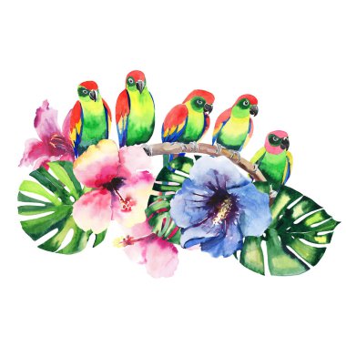 Güzel parlak güzel renkli tropikal hawaii çiçek bitkisel yaz desen tropik çiçekler ebegümeci, palms yaprak ve dal suluboya el kroki üzerinde güzel renkli tropikal kuşlar