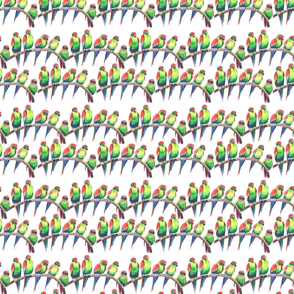 Parlak renkli sevimli güzel orman tropik sarı ve yeşil papağan bir şube desen suluboya üzerinde şekil ver. Mükemmel tebrik kartı, tekstil, duvar kağıtları için