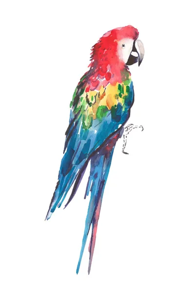 Helle bunte schöne schöne anspruchsvolle Dschungel tropisch gelb, grün, rot und blau große tropische Papageien diagonales Muster Aquarell Handillustration — Stockfoto