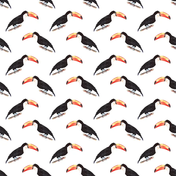 Bright wonderful beautiful lovely sophisticated jungle tropical black and white toucan bird diagonal pattern watercolor hand illustration — Stock Photo, Image