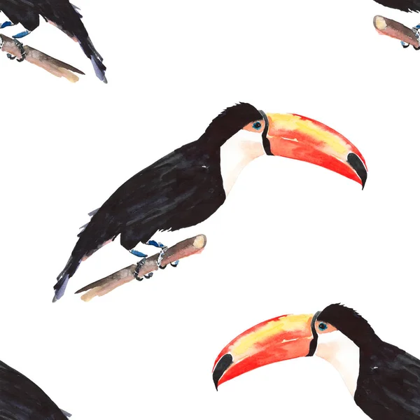 Ljusa fantastiskt vacker härlig sofistikerad djungel tropiska svartvita toucan fågel diagonala mönstret akvarell hand illustration — Stockfoto
