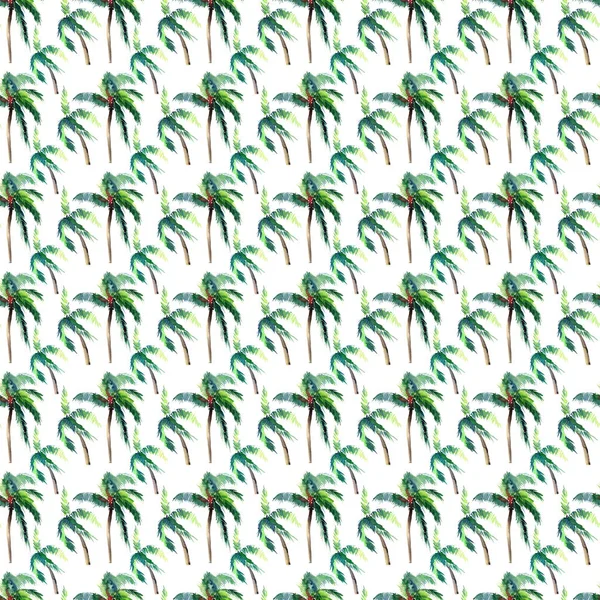 Vackra ljusa söt grön tropisk härliga underbara hawaii blommig växtbaserade sommaren mönster av en palm träd akvarell hand skiss. Perfekt för gratulationskort, textil, tapeter, omslagspapper — Stockfoto