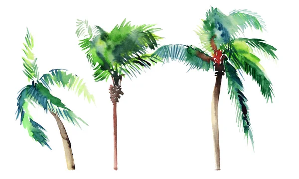 Vackra ljusa söt grön tropisk härliga underbara hawaii blommig växtbaserade sommaren tre palm träd akvarell hand skiss. Perfekt för gratulationskort, textil, tapeter, omslagspapper — Stockfoto