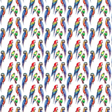 Parlak renkli güzel güzel gelişmiş orman tropik sarı, yeşil, kırmızı ve mavi büyük tropik papağan ve küçük yeşil tropikal kuşlar köşegen desen suluboya el çizimi