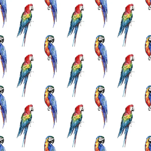 stock image Bright colorful beautiful lovely sophisticated jungle tropical yellow, green, red and blue big tropical parrots diagonal pattern watercolor hand illustration